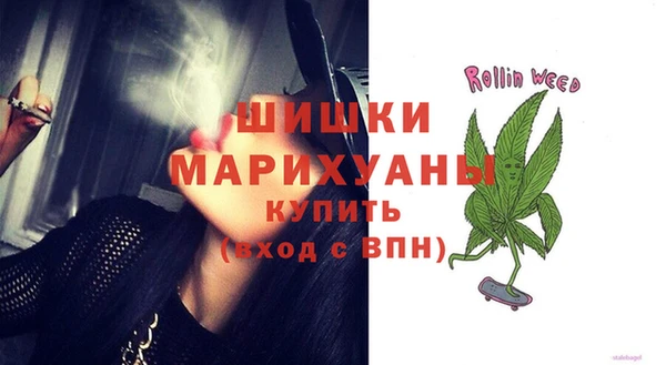 ПСИЛОЦИБИНОВЫЕ ГРИБЫ Алексеевка