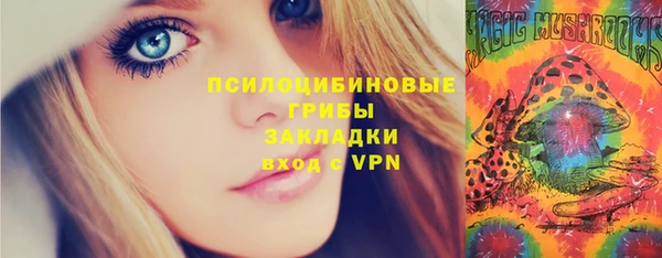 ПСИЛОЦИБИНОВЫЕ ГРИБЫ Алексеевка