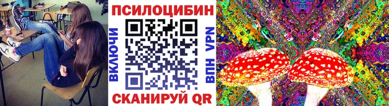 Купить закладки  Гулькевичи  Галлюциногенные грибы Psilocybine cubensis 